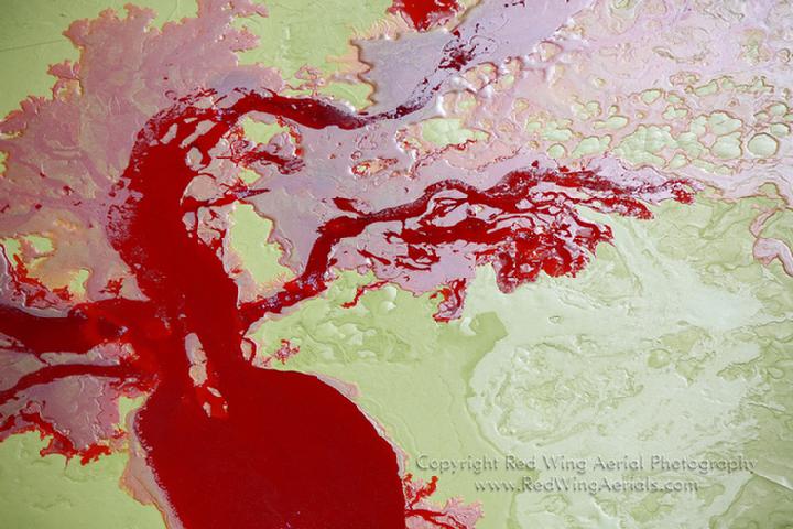 PAPA International's "Aerial Photograph of the Year-2009" Award-Winner